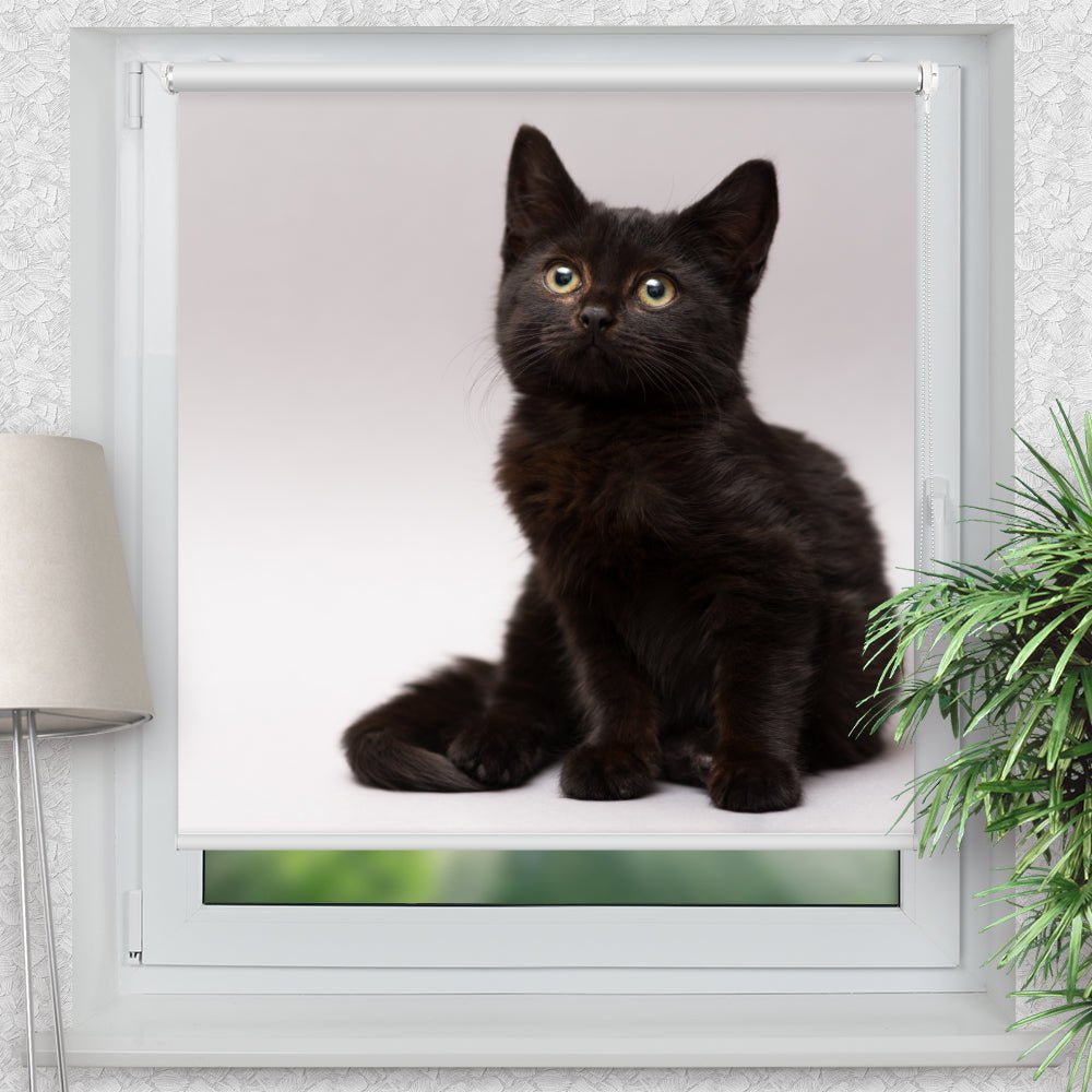 Rollo Motiv "Scharze Katze Kitten" - ohne bohren - Klemmrollo bis 150 cm Breite - Klemmfix mit Fotodruck - blickdicht - La-Melle