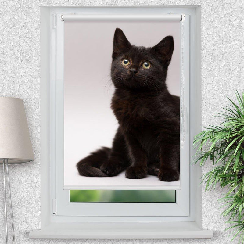 Rollo Motiv "Scharze Katze Kitten" - ohne bohren - Klemmrollo bis 150 cm Breite - Klemmfix mit Fotodruck - blickdicht - La-Melle
