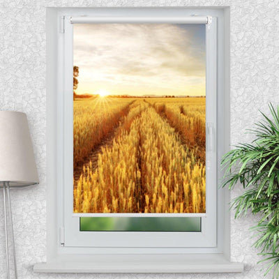 Rollo Motiv Kornfeld - ohne bohren - Klemmrollo bis 150 cm Breite - Klemmfix mit Fotodruck - blickdicht - La-Melle