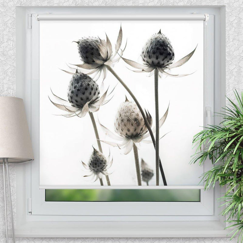 Rollo Motiv "Trockenblume" - ohne bohren - Klemmrollo bis 150 cm Breite - Klemmfix mit Fotodruck - blickdicht - La-Melle