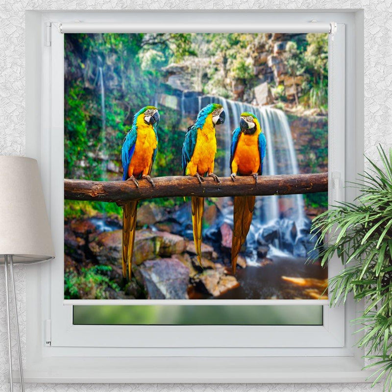 Rollo Motiv "Papageien Urwald" - ohne bohren - Klemmrollo bis 150 cm Breite - Klemmfix mit Fotodruck - blickdicht - La-Melle