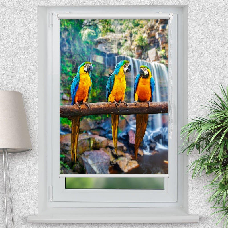 Rollo Motiv "Papageien Urwald" - ohne bohren - Klemmrollo bis 150 cm Breite - Klemmfix mit Fotodruck - blickdicht - La-Melle