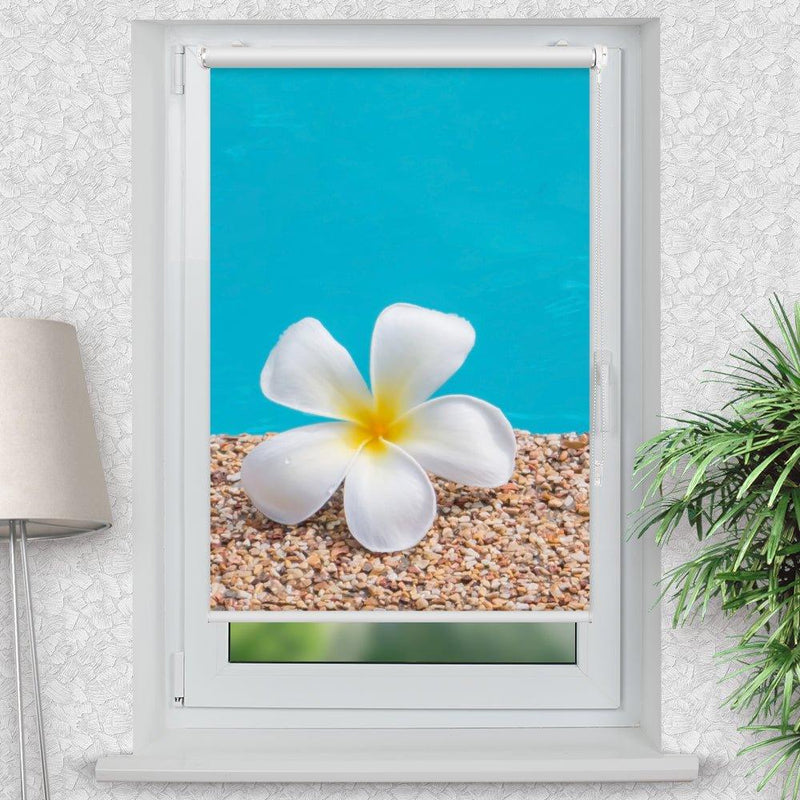 Rollo Motiv "Frangipani Wasser" - ohne bohren - Klemmrollo bis 150 cm Breite - Klemmfix mit Fotodruck - blickdicht - La-Melle