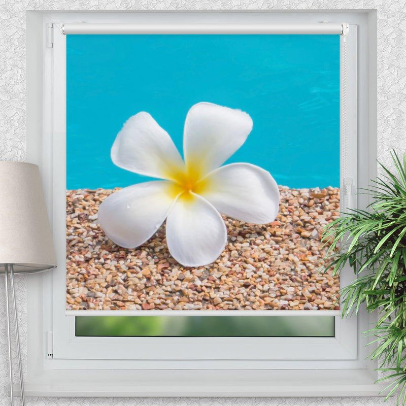 Rollo Motiv "Frangipani Wasser" - ohne bohren - Klemmrollo bis 150 cm Breite - Klemmfix mit Fotodruck - blickdicht - La-Melle