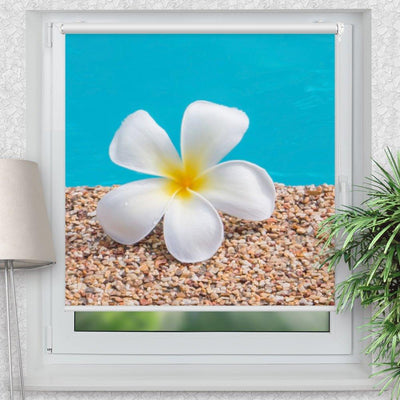 Rollo Motiv Frangipani Wasser - ohne bohren - Klemmrollo bis 150 cm Breite - Klemmfix mit Fotodruck - blickdicht - La-Melle