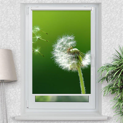 Rollo Motiv Pusteblume - ohne bohren - Klemmrollo bis 150 cm Breite - Klemmfix mit Fotodruck - blickdicht - La-Melle