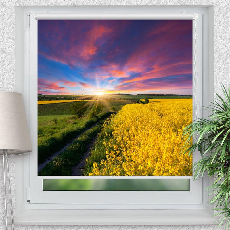 Rollo Motiv "Rapsfeld Sonnenaufgang" - ohne bohren - Klemmrollo bis 150 cm Breite - Klemmfix mit Fotodruck - blickdicht - La-Melle