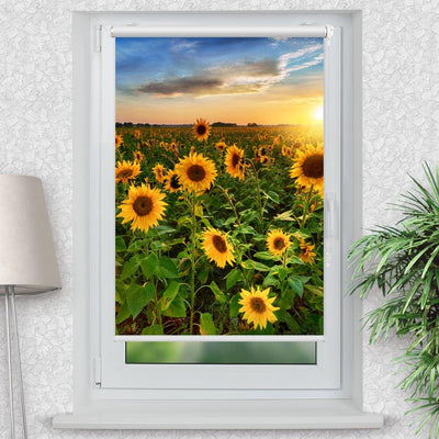 Rollo Motiv Sonnenblumen Sonnenuntergang - ohne bohren - Klemmrollo bis 150 cm Breite - Klemmfix mit Fotodruck - blickdicht - La-Melle