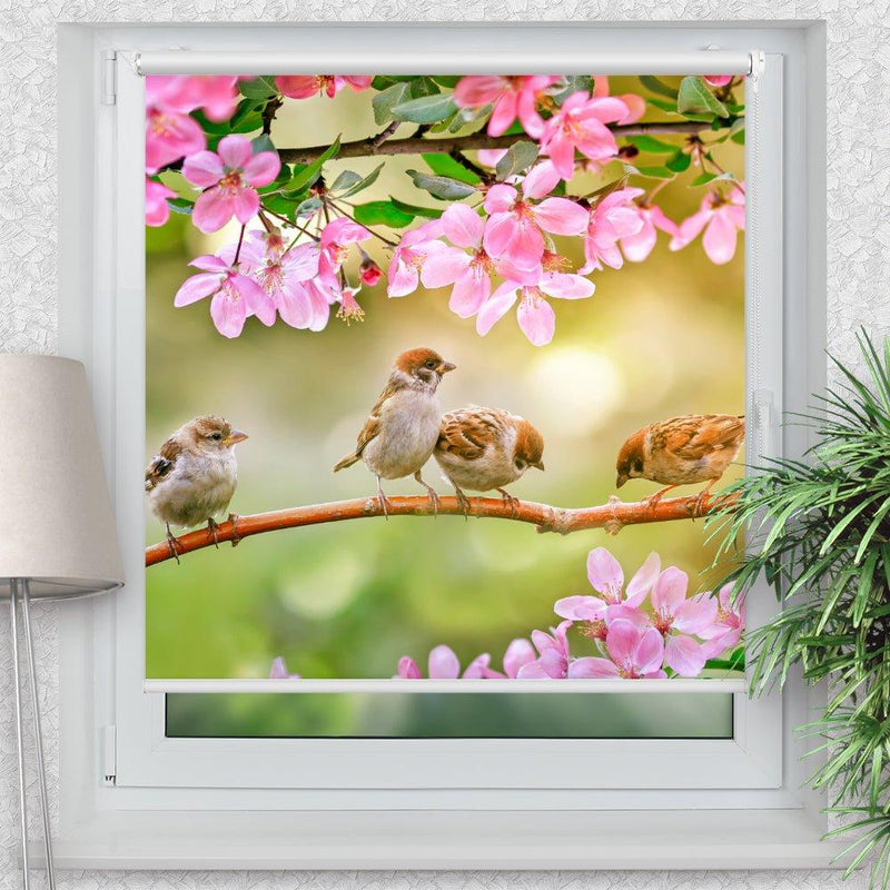 Rollo Motiv "Spatzen auf dem Ast" - ohne bohren - Klemmrollo bis 150 cm Breite - Klemmfix mit Fotodruck - blickdicht - La-Melle