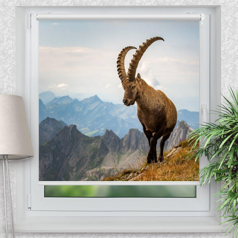 Rollo Motiv "Steinbock Alpen" - ohne bohren - Klemmrollo bis 150 cm Breite - Klemmfix mit Fotodruck - blickdicht - La-Melle