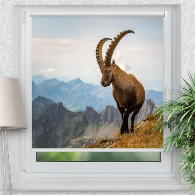 Rollo Motiv Steinbock Alpen - ohne bohren - Klemmrollo bis 150 cm Breite - Klemmfix mit Fotodruck - blickdicht - La-Melle