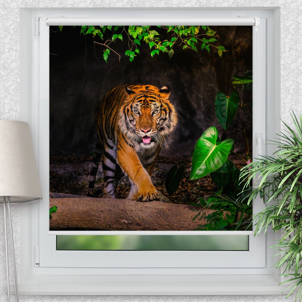 Rollo Motiv "Tiger Indien" - ohne bohren - Klemmrollo bis 150 cm Breite - Klemmfix mit Fotodruck - blickdicht - La-Melle