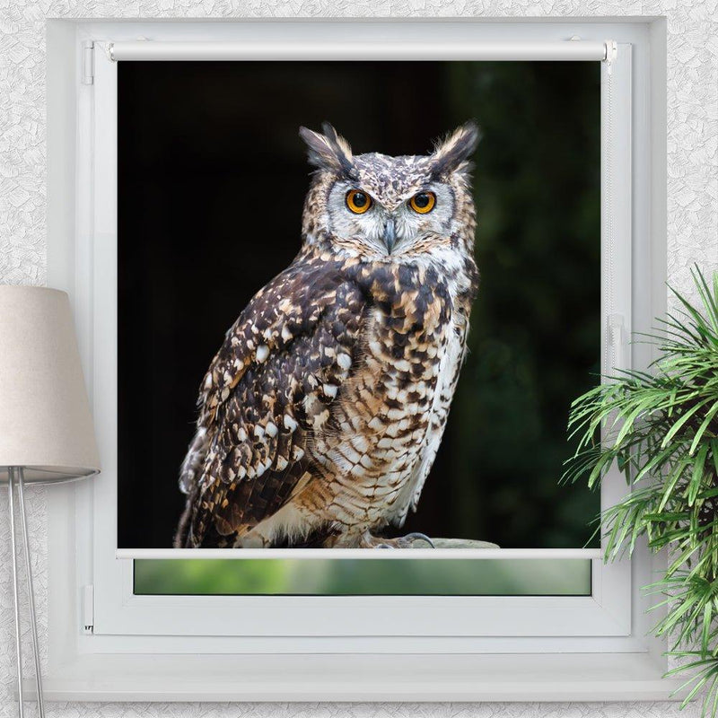 Rollo Motiv "Wald Eule" - ohne bohren - Klemmrollo bis 150 cm Breite - Klemmfix mit Fotodruck - blickdicht - La-Melle