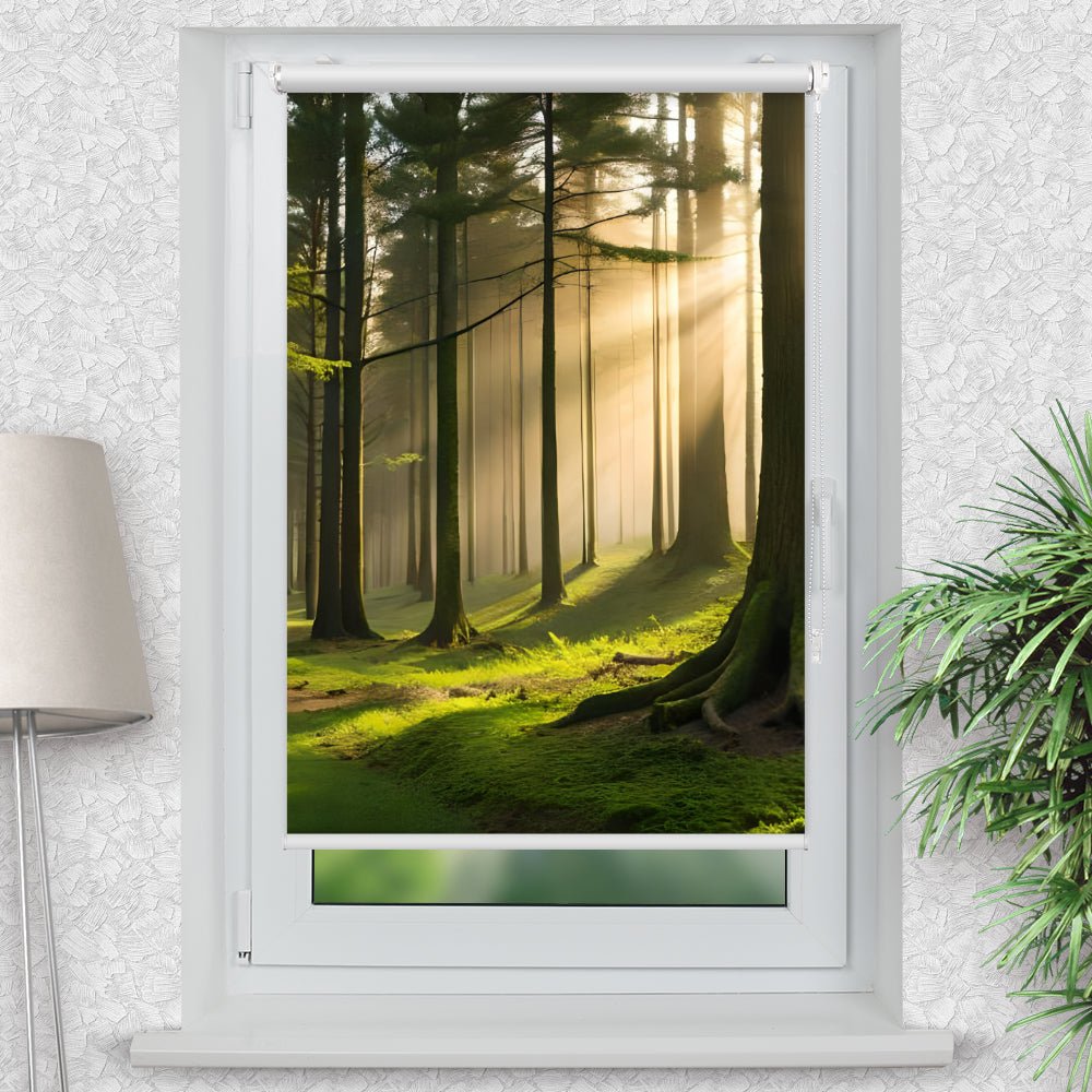 Rollo Motiv "Wald Nebel Baeume" - ohne bohren - Klemmrollo bis 150 cm Breite - Klemmfix mit Fotodruck - blickdicht - La-Melle