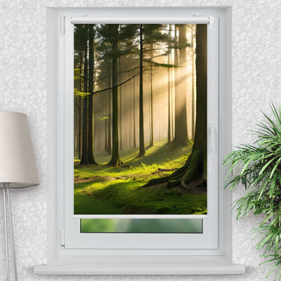 Rollo Motiv Wald Nebel Baeume - ohne bohren - Klemmrollo bis 150 cm Breite - Klemmfix mit Fotodruck - blickdicht - La-Melle