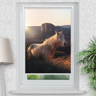 Rollo Motiv Wildpferd Arizona - ohne bohren - Klemmrollo bis 150 cm Breite - Klemmfix mit Fotodruck - blickdicht - La-Melle