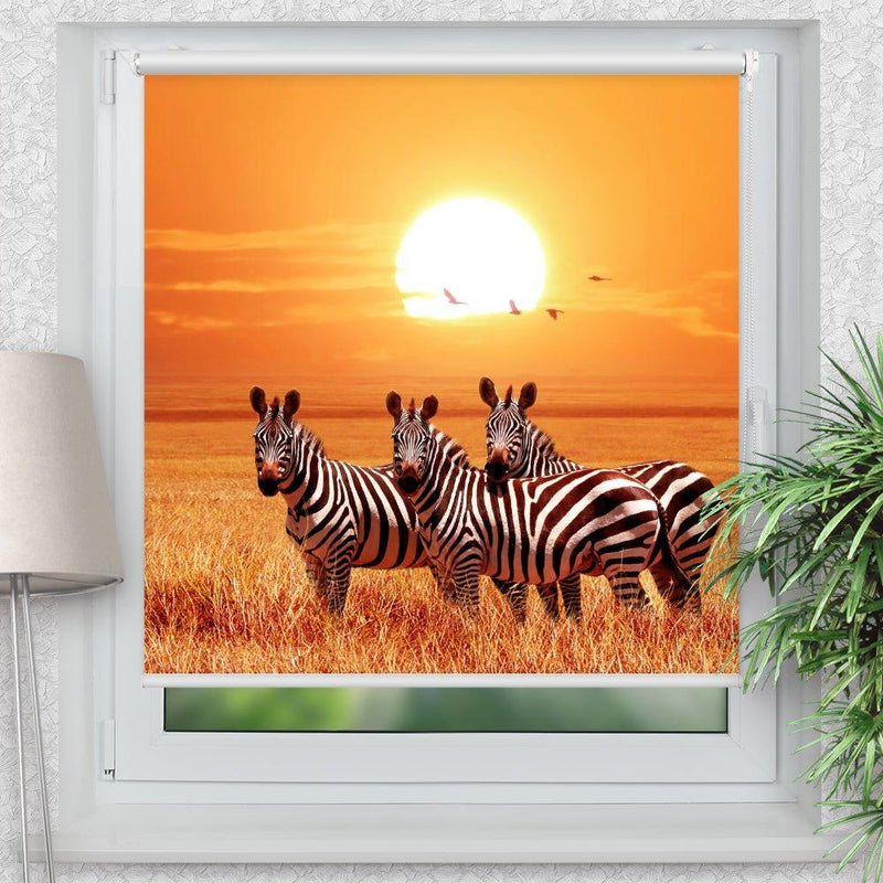 Rollo Motiv "Zebra Afrika Savanne" - ohne bohren - Klemmrollo bis 150 cm Breite - Klemmfix mit Fotodruck - blickdicht - La-Melle