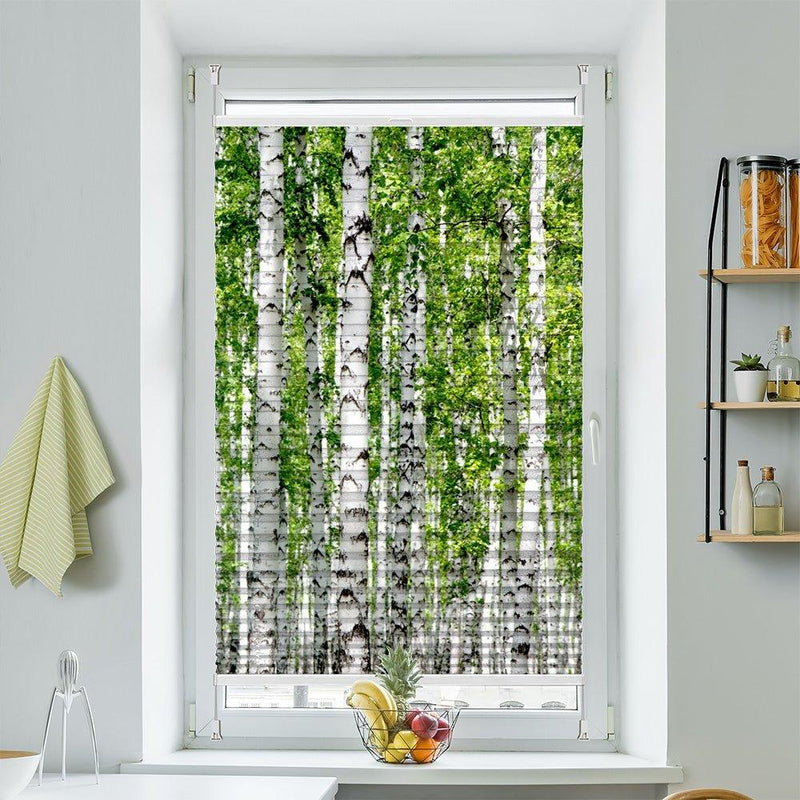 Wabenplissee Motiv "Birken Wald Baeume" - La-Melle