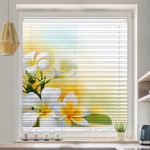 Plissee Motiv "Frangipani"