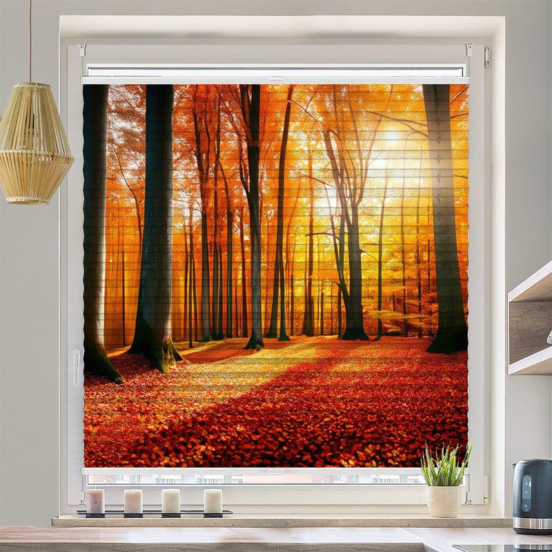 Wabenplissee Motiv "Herbst Wald Sonne" - La-Melle