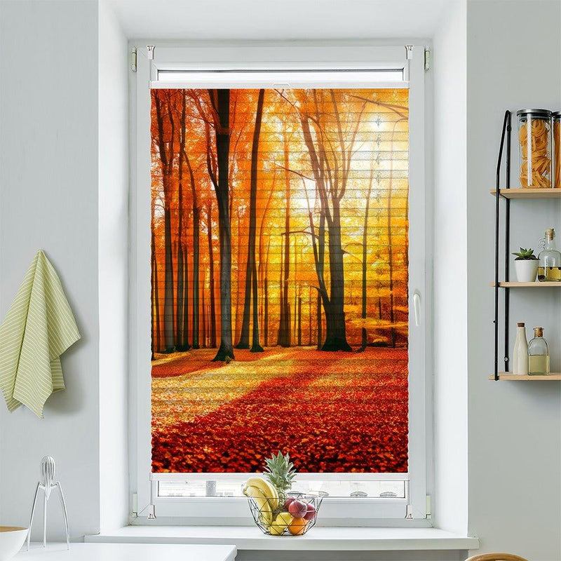 Wabenplissee Motiv "Herbst Wald Sonne" - La-Melle