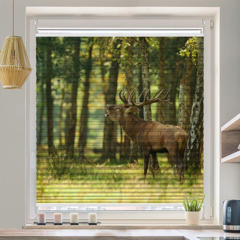 Plissee Motiv "Hirsch Wald"