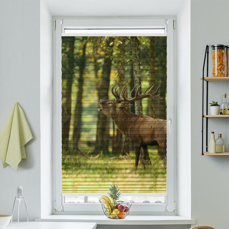 Plissee Motiv "Hirsch Wald"