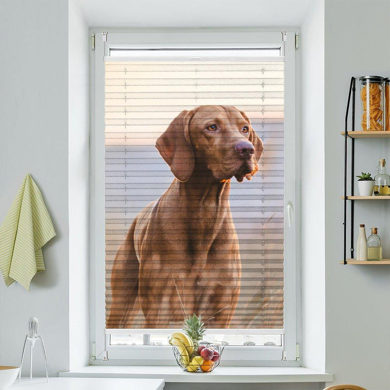 Wabenplissee Motiv "Jagdhund Vizsla Feld" - La-Melle