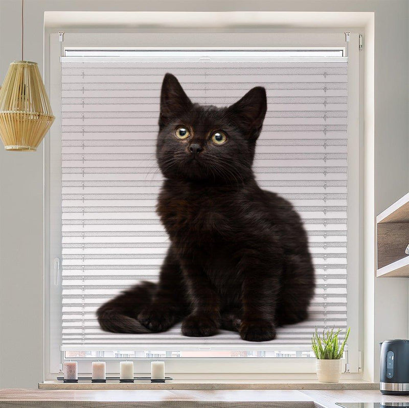 Wabenplissee Motiv "Katze Schwarz Kitten" - La-Melle