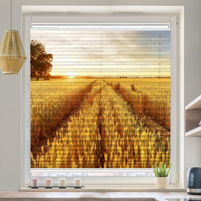 Wabenplissee Motiv Kornfeld Sonnenuntergang - La-Melle