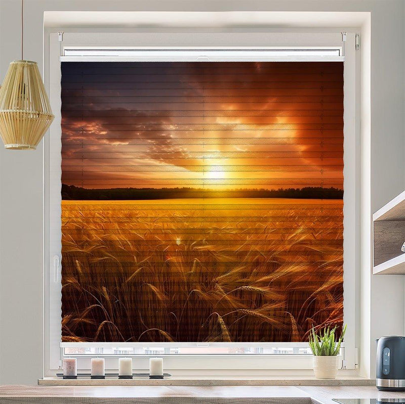 Plissee Motiv "Kornfeld Sonnenuntergang" - La-Melle