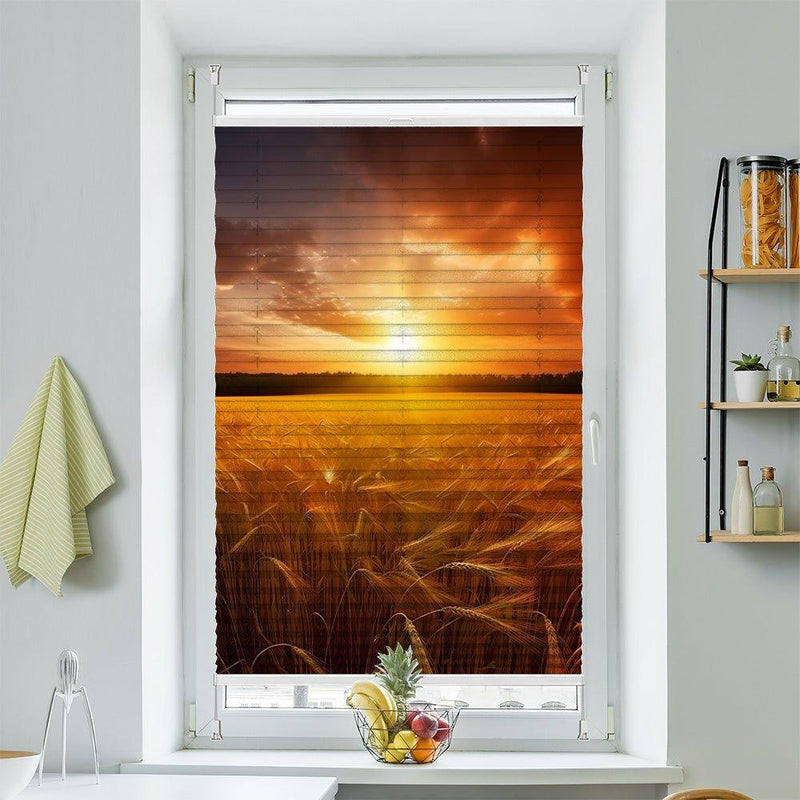 Plissee Motiv "Kornfeld Sonnenuntergang" - La-Melle