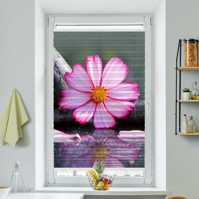 Plissee Motiv "Kosmee Steine Wasser" - La-Melle