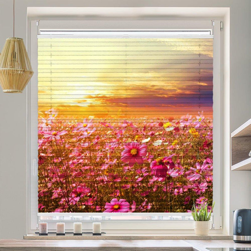 Plissee Motiv "Blumenwiese Sonnenuntergang"