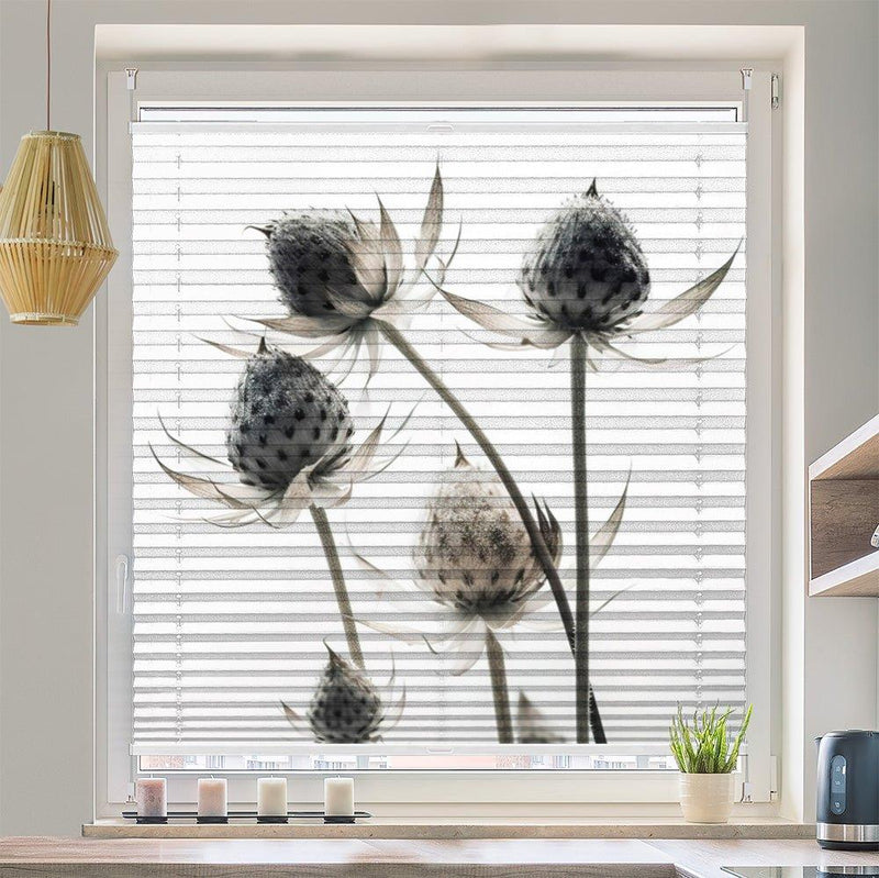 Plissee Motiv "Trockenblume" - La-Melle