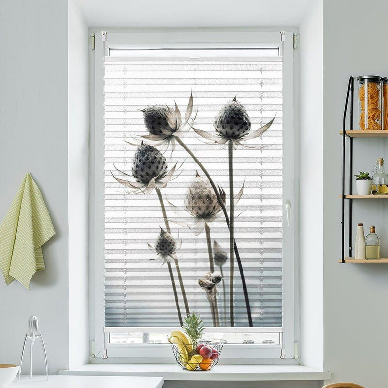 Plissee Motiv "Trockenblume" - La-Melle