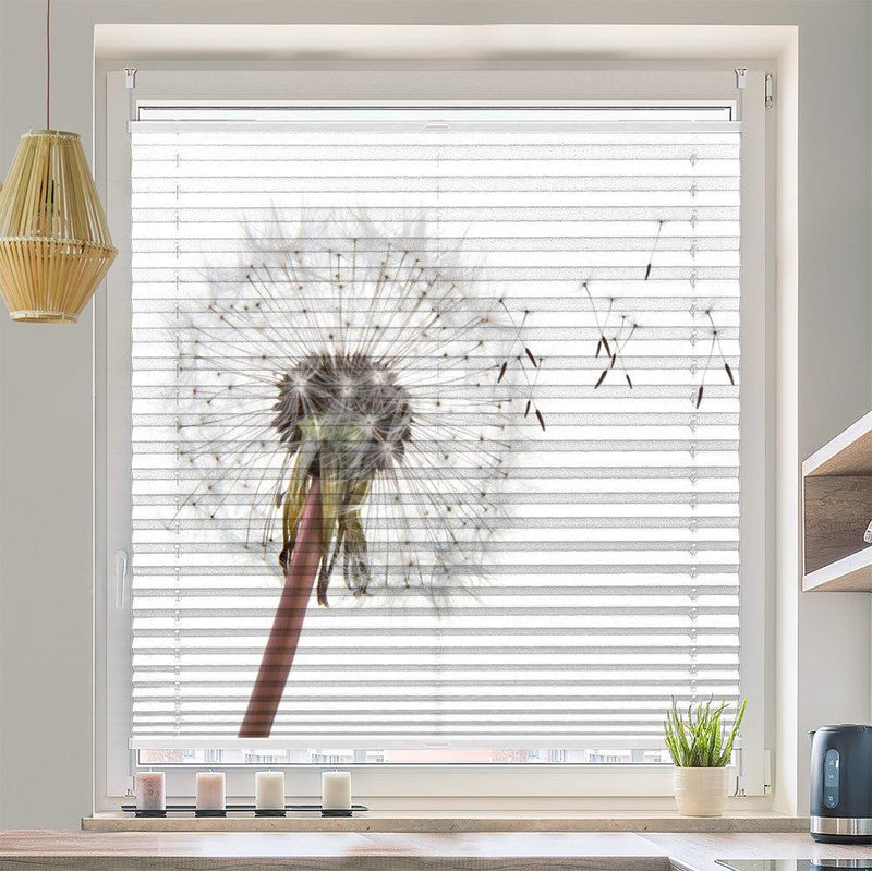 Wabenplissee Motiv "Pusteblume Fliegender Samen" - La-Melle