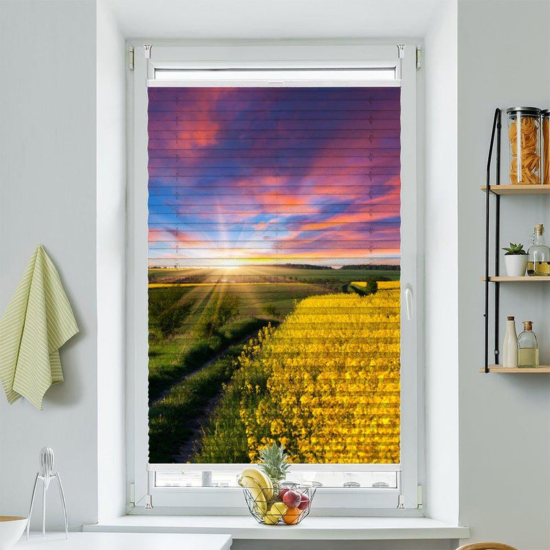 Plissee Motiv "Rapsfeld Sonnenaufgang" - La-Melle