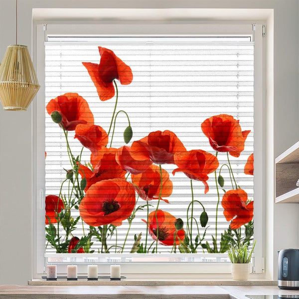 Plissee Motiv "Mohnblumen Weisser Hintergrund"