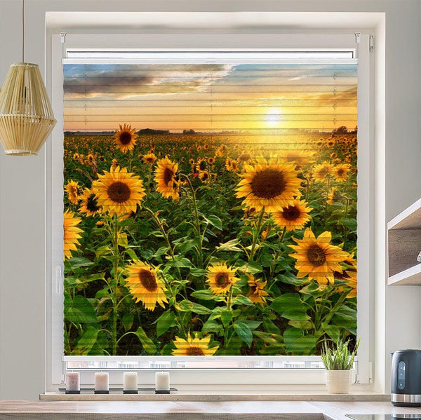 Plissee Motiv "Sonnenblumen Sonnenuntergang"