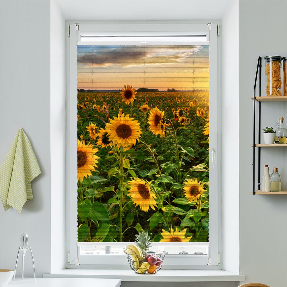 Plissee Motiv "Sonnenblumen Sonnenuntergang" - La-Melle