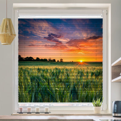 Wabenplissee Motiv Kornfeld Sonnenuntergang - La-Melle