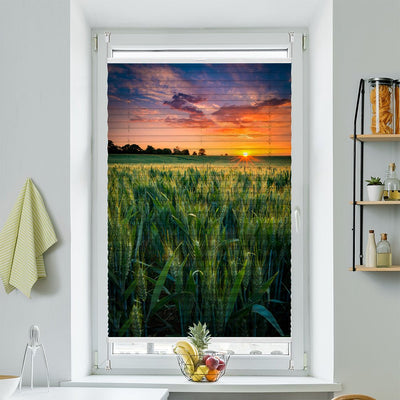 Wabenplissee Motiv Kornfeld Sonnenuntergang - La-Melle