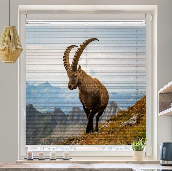 Plissee Motiv "Steinbock Alpen"