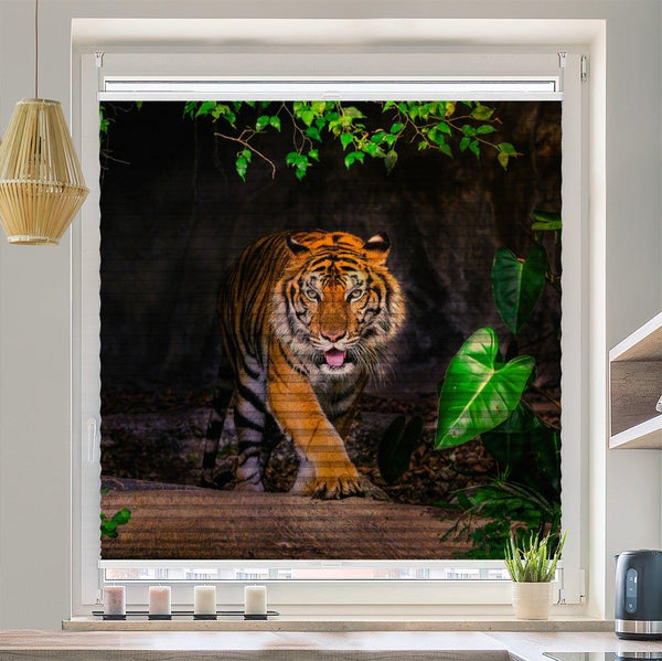 Plissee Motiv "Tiger Indien"
