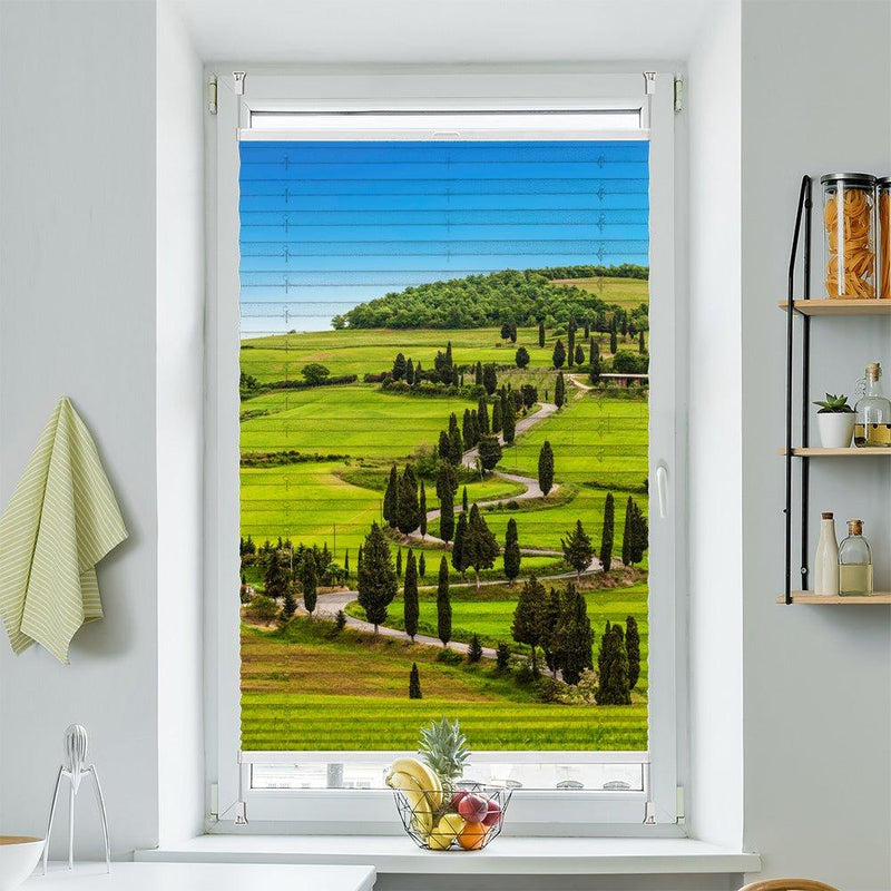 Plissee Motiv "Toskana Zypressen" - La-Melle