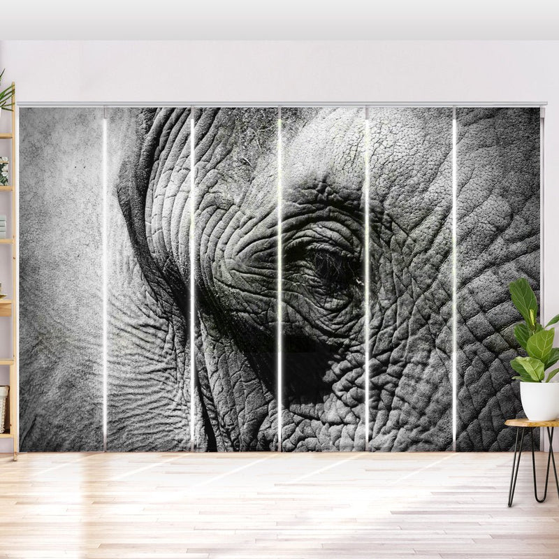 Schiebegardine Motiv "Elefant Nahaufnahme" - La-Melle