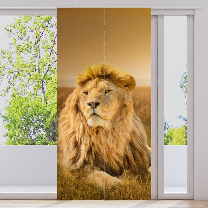 Schiebegardine Motiv "Afrika Löwe" - La-Melle