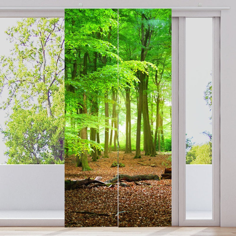 Schiebegardine Motiv "Eichenwald Weg" - La-Melle