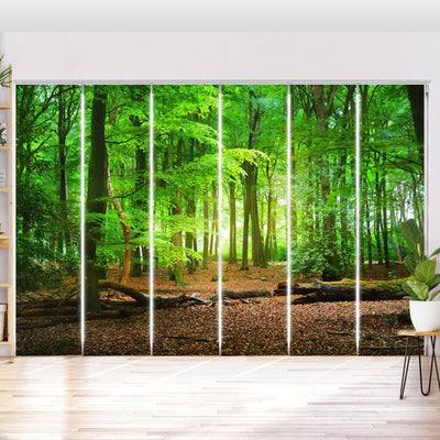 Schiebegardine Motiv Eichenwald Weg - La-Melle